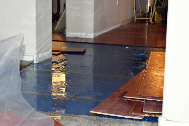 Professional Water Damage Restoration technician working in Russellville, AR